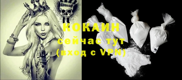 шишки Вязьма