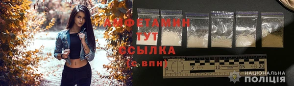 крисы Володарск